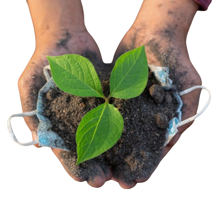 Midone - Tailwind Admin Dashboard Template